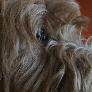 Meet your Posher, Jeanette